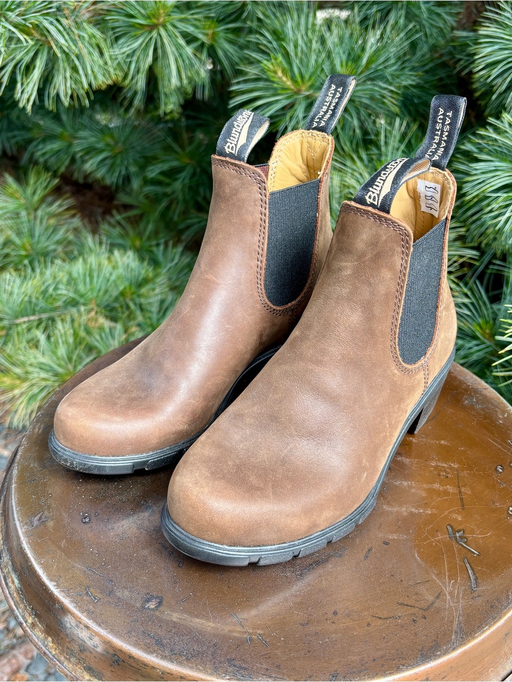 Blundstone style 1673
